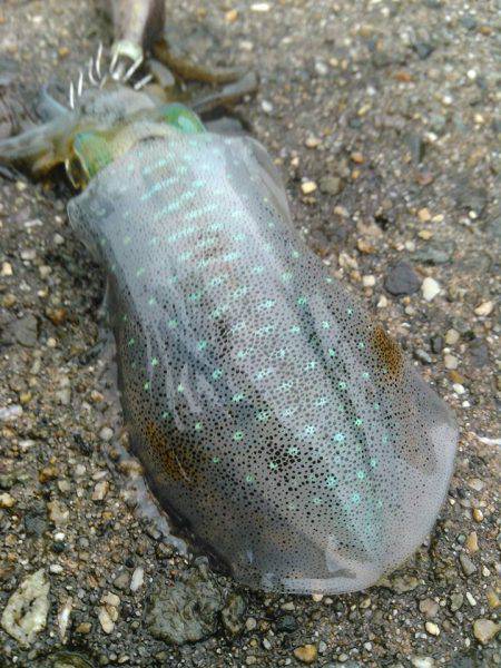 おはようございます！❤